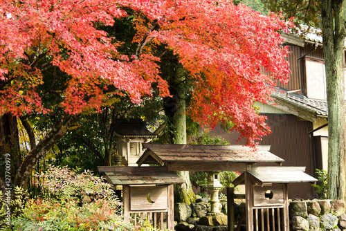 Yokokura Temple in Gifu, the leaves of the trees change to beautiful colors.