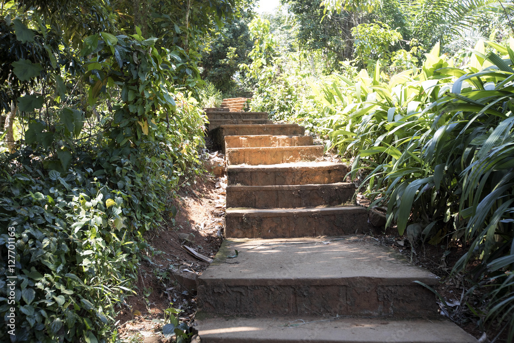 Stone stairs in the tropics, Madagascar Stone stairs in the tropics, Madagascar
