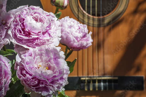 Fototapeta Naklejka Na Ścianę i Meble -  Bouquet of pink peonies is near brown guitar in the sunlight
