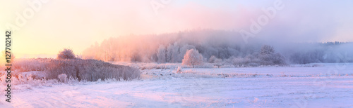Bright winter landscape