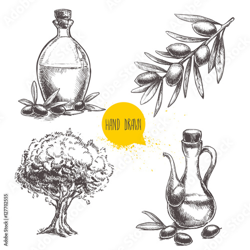 Hand drawn set of olive branch with olives, bottles with olive oil and olive tree. Sketch style vector organic food illustration.