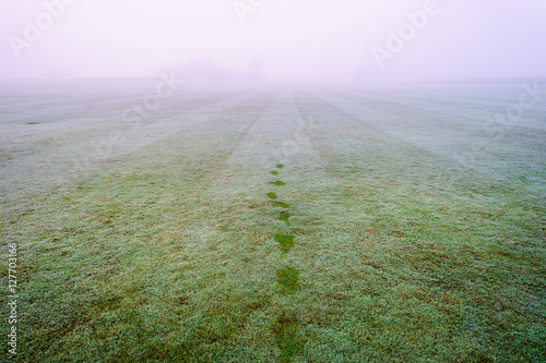 Fresh footprints in green grass. footprints in green grass with morning dew.