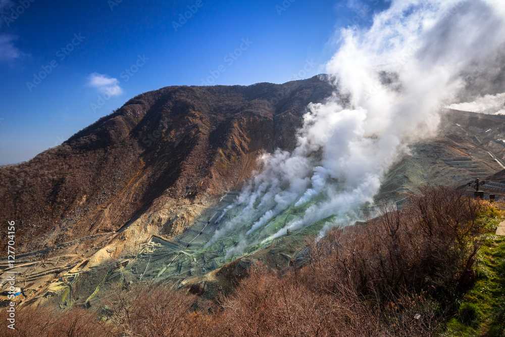 Naklejka premium Aktywne otwory siarkowe Owakudani w wulkanie Fuji, Japonia