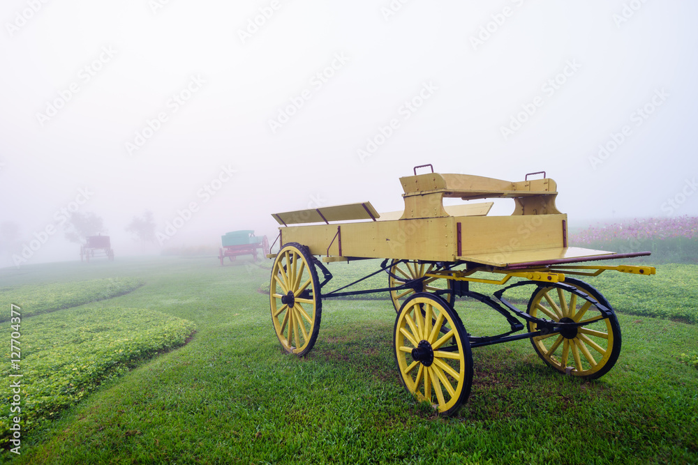 Carriage on a slope in the green beautiful garden daylight at Singha park, Chiangrai, Thailand. Carriage on Green field with white fog.