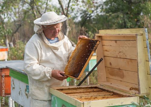 Beekeeper is working with bees and beehives on the apiary.