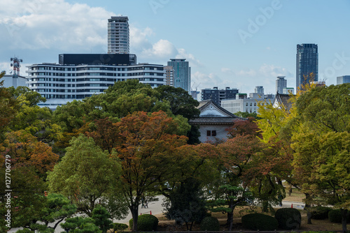 大阪のビルと紅葉