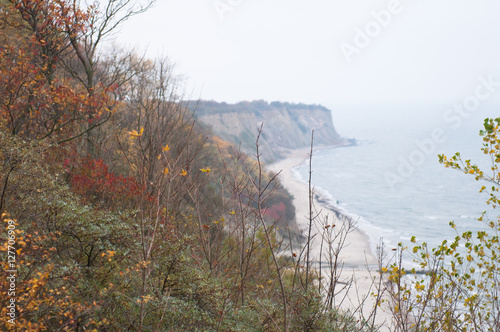 Fototapeta Naklejka Na Ścianę i Meble -  Autumn forest on the shore of Baltic sea