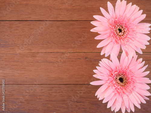 Sweet pink Gerbera flower in wood background 4