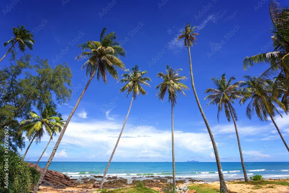 Obraz premium Beautiful tropical beach with coconut palm tree and blue sky