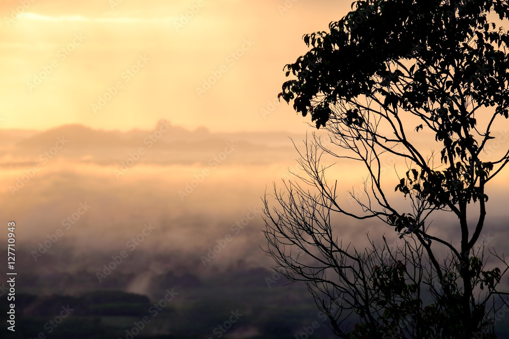 View from the mountain, Tiger Cave Temple (Wat Tham Suea), Krabi, Thailand. View from the mountain, Tiger Cave Temple (Wat Tham Suea), Krabi, Thailand.