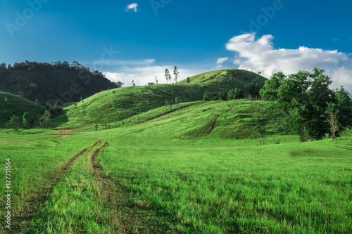 natural green grass field in sunny day with dirt road pathway to hill.