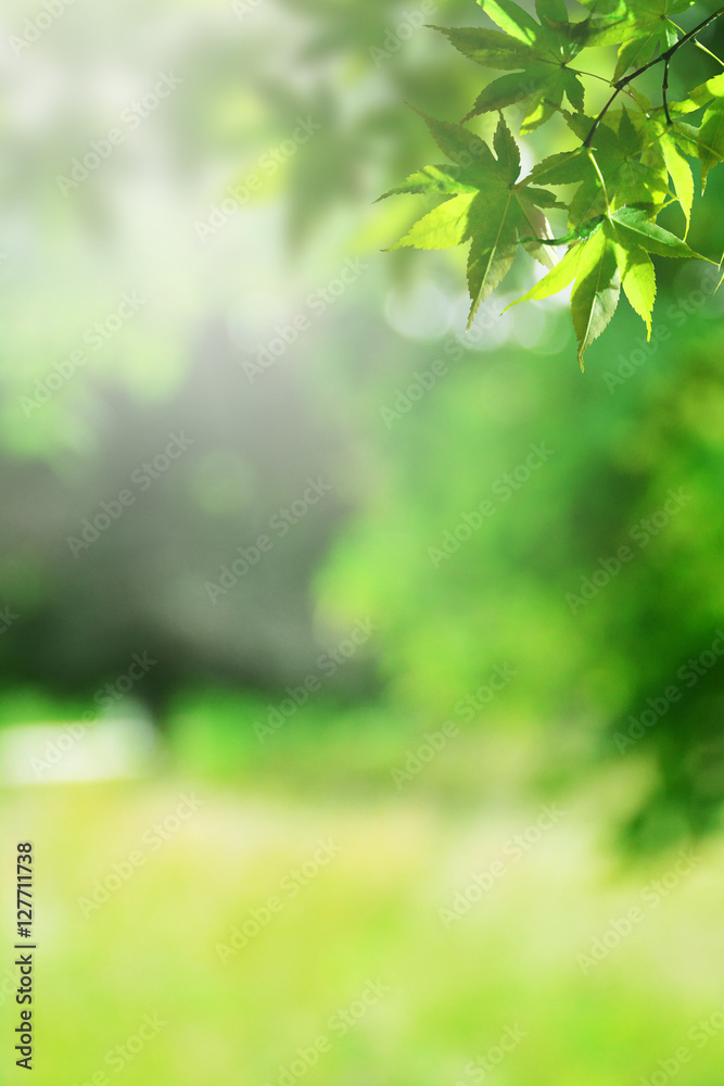 Fresh green nature blur background. Stock Photo | Adobe Stock