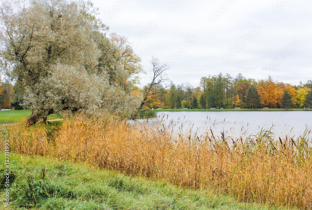 Autumn on the lake.
