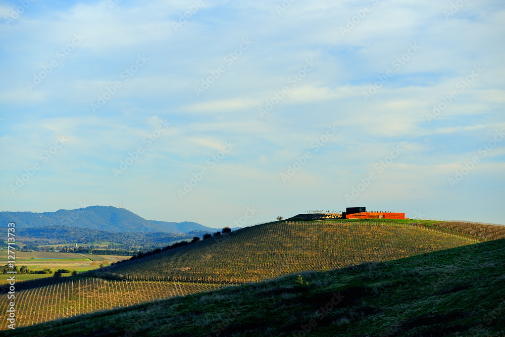 Fototapeta premium Australia Landscape : Vineyard in Yarra Valley and wine cellar on hill top