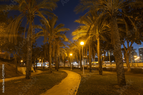 City park at night in Ashdod  Israel