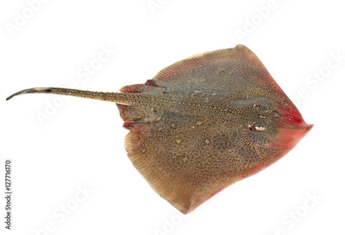 Photography rays in studio