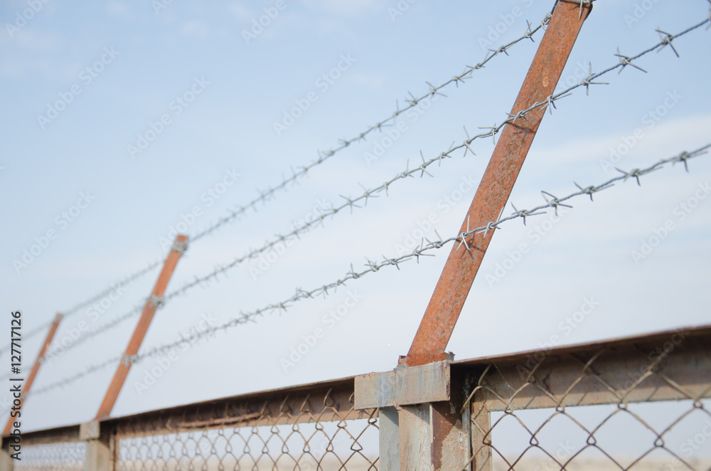 Fototapeta premium The barbed wire with blue sky