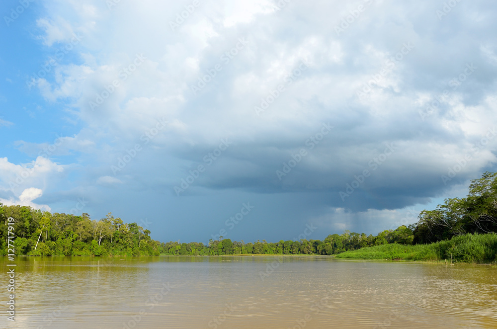 Kinabatangan river, Malaysia, rainforest of Borneo island
