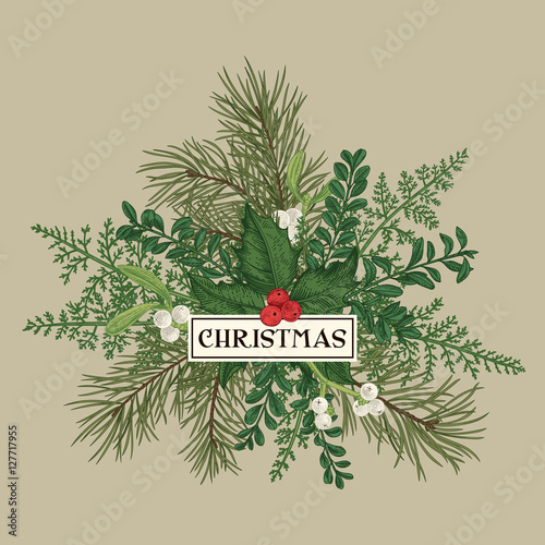 Christmas frame with pine, holly and ferns.