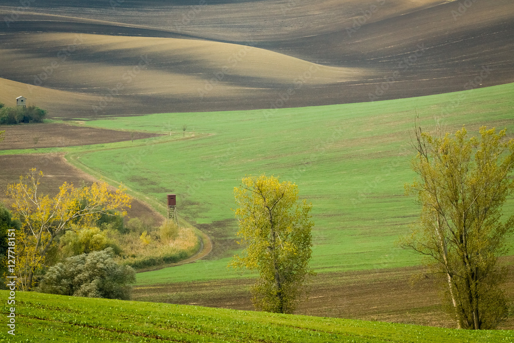 Incredible patterns on waved fields of South Moravia called the Moravian Tuscany, green and brown autumn colors. Czechia.
