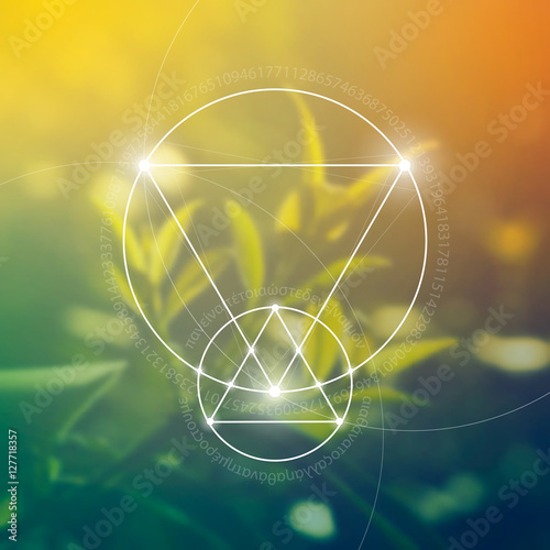 Sacred geometry. Mathematics, nature, and spirituality in nature. The formula of nature. There is no beginning and no end of the Universe, and no beginning and no end of the Life and the Bliss. © VeronikaBy