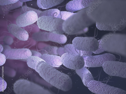 Enterobacteriaceae: large family of Gram-negative bacteria that includes many of the more familiar pathogens, such as Salmonella and Escherichia coli. photo