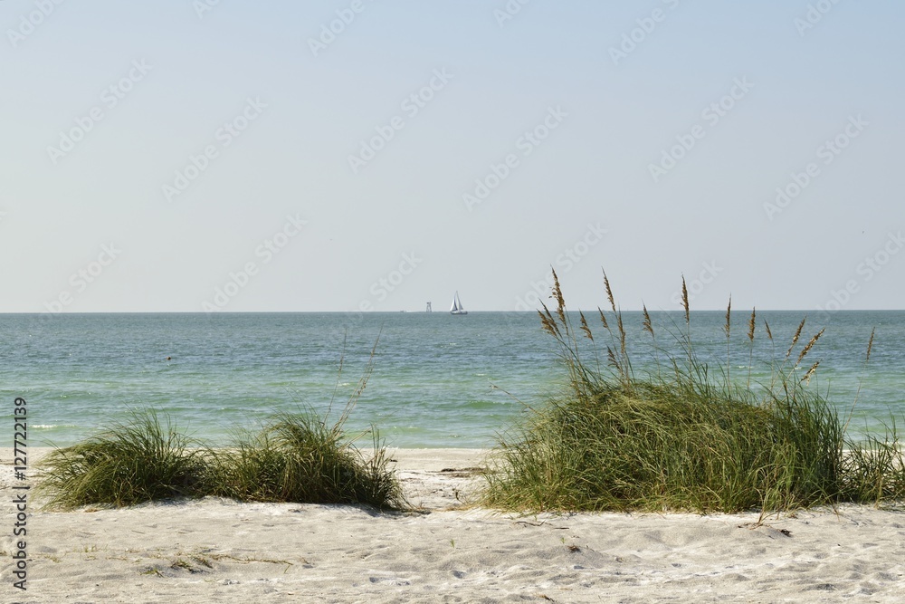Sea oats and grass on a sand dune on the beach. Sea oats and grass on a sand dune on the beach.