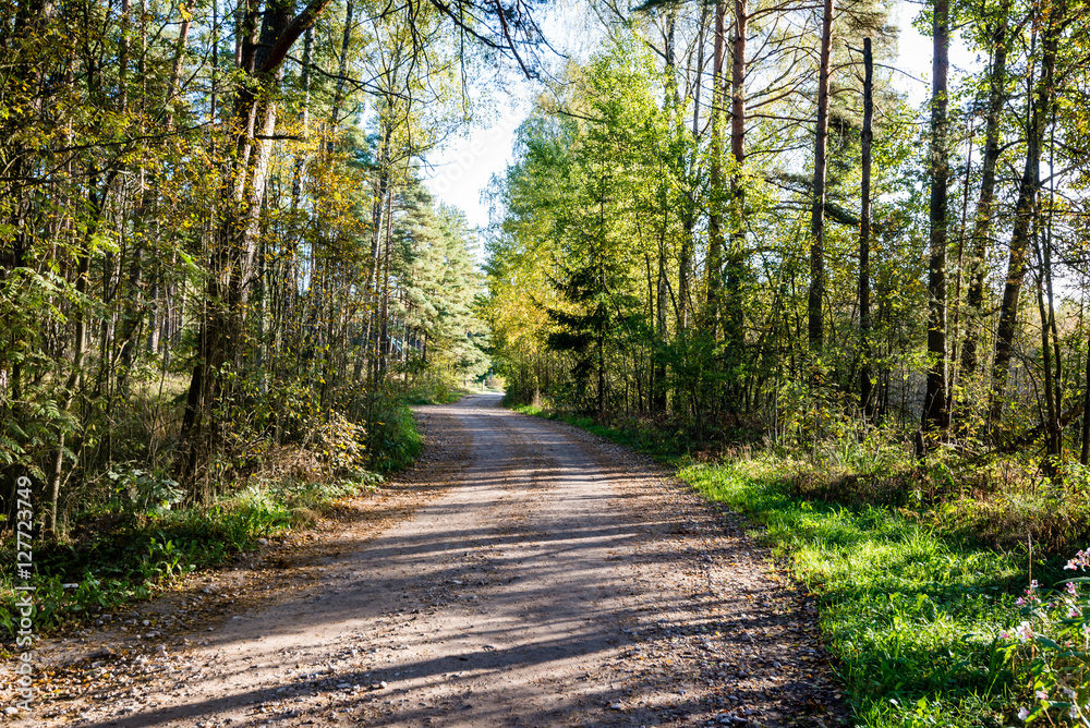 Fototapeta premium the road ahead