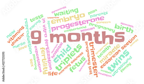 9 months. Word cloud, multicolored font, white background. The miracle of birth.