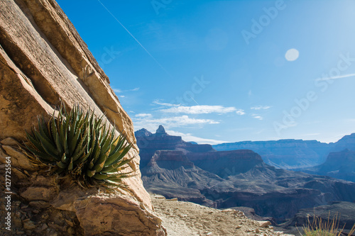 Kaibab Trail Grand Canyon  photo