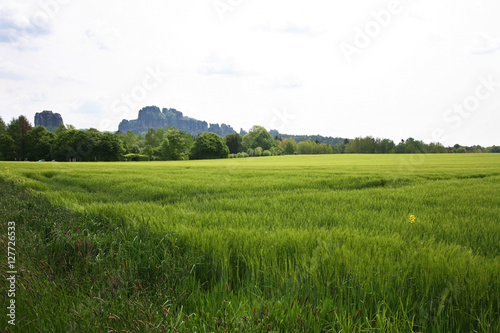 Sächsische Schweiz