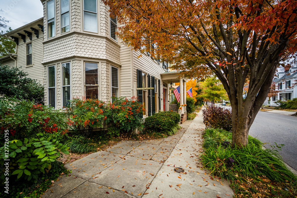 Autumn color and house in downtown Easton, Maryland.