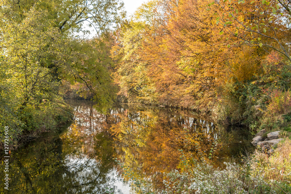Herbst am See