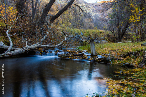 Fototapeta Naklejka Na Ścianę i Meble -  Hobble Creek, Utah