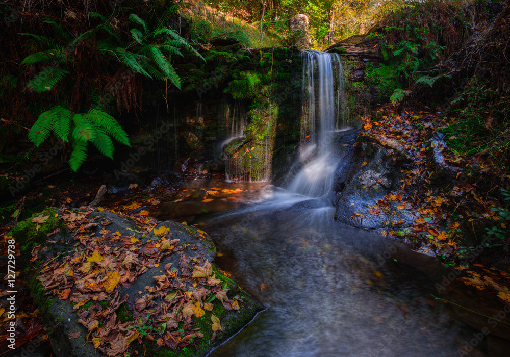 Fototapeta premium Small waterfall in a stream