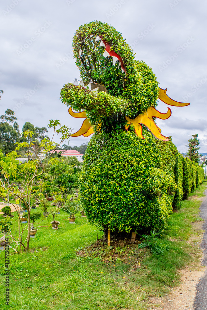 Green Dragon from a bush trimmed in a park of flowers, Dalat Vietnam