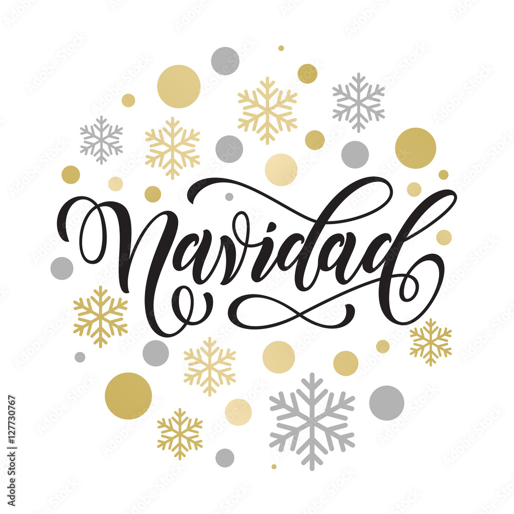 Merry Christmas in Spanish Feliz Navidad text for greeting card