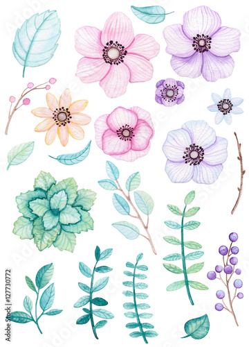 Watercolor Collection with Flowers, Leaves and Berries in Pastel Colors