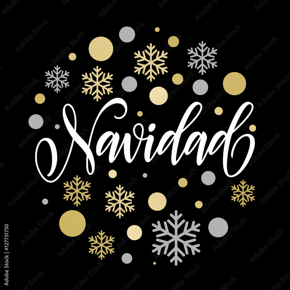 Merry Christmas in Spanish Navidad text for greeting card