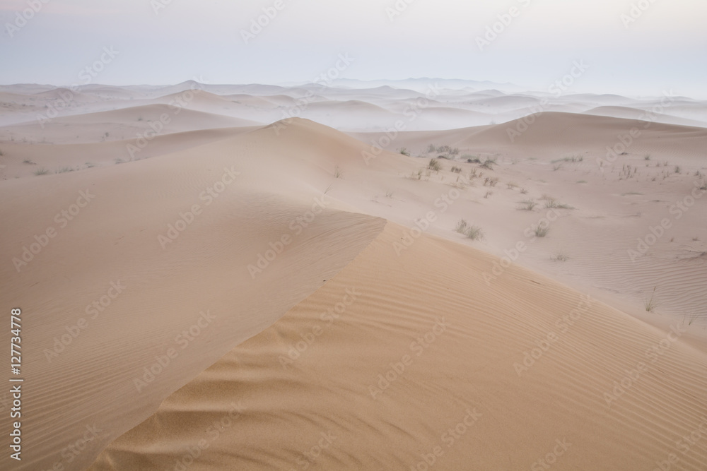 Sunrise in a desert near Dubai Sunrise in a desert near Dubai