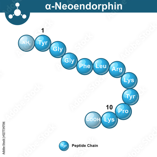 Alpha neoendorphin chemical model