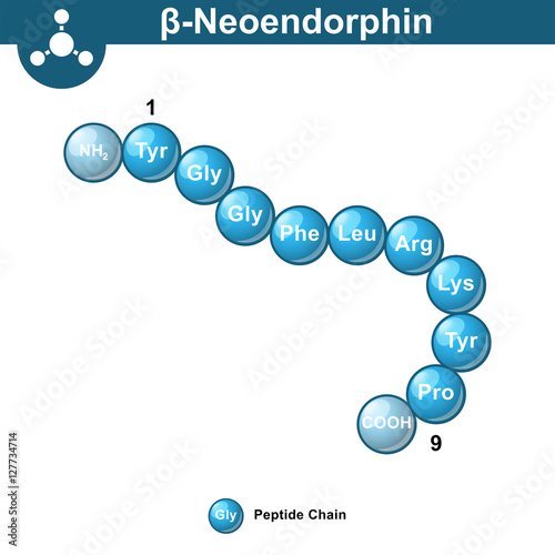 Beta neoendorphin molecular formula