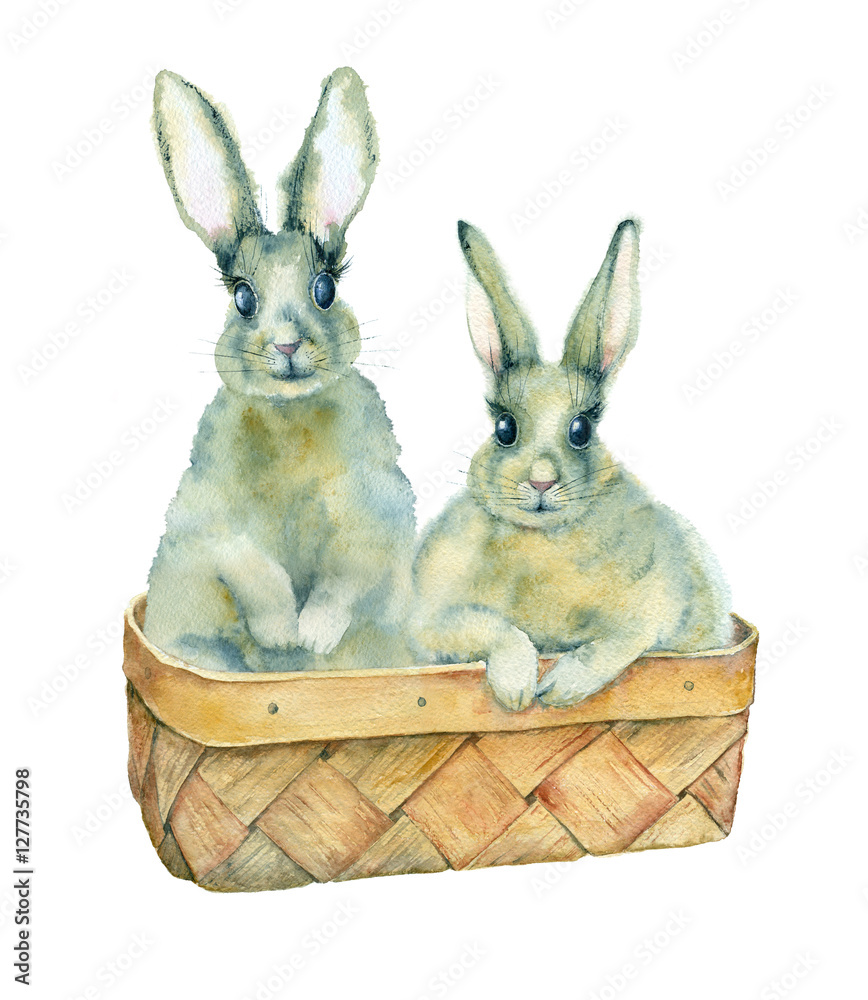 Fototapeta premium Watercolor painting. Two little rabbits in a basket on a white background.