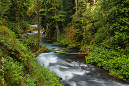 McKenzie River Oregon.