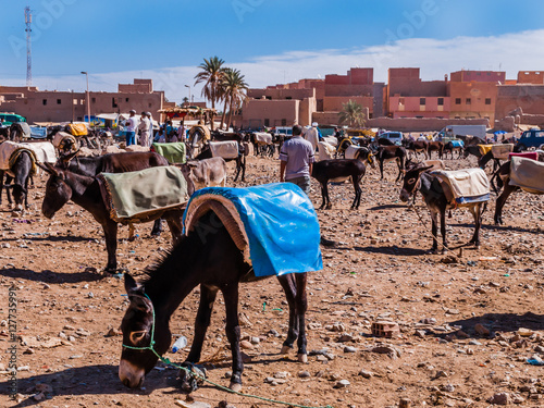 Eselmarkt in Rissani; Marokko photo