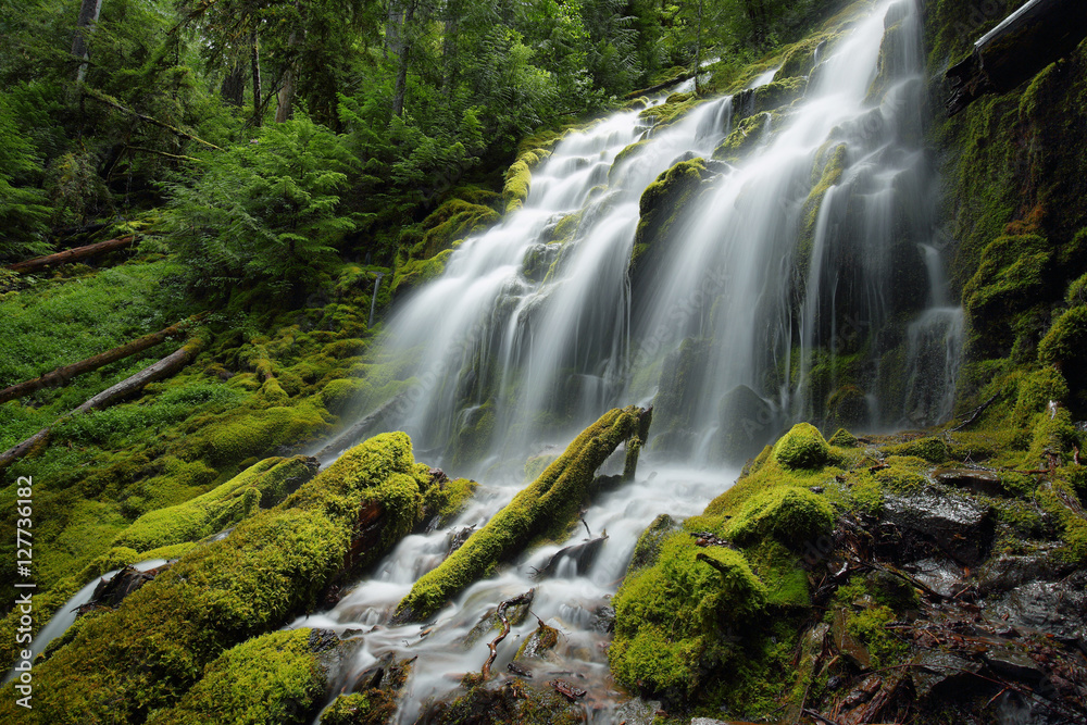 Fototapeta premium Proxy falls, Oregon