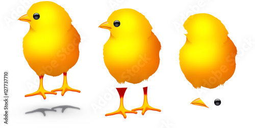 Isolated Easter Chick Elements with Shadow