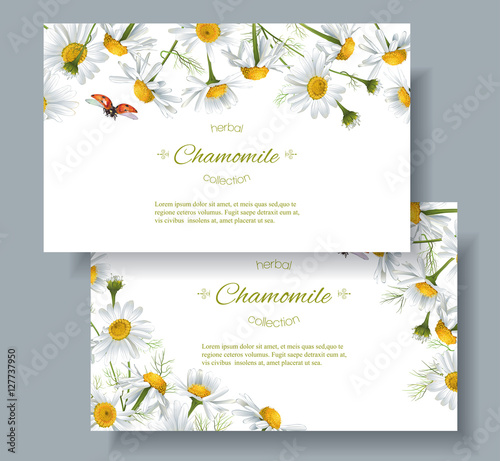 Chamomile flower banners