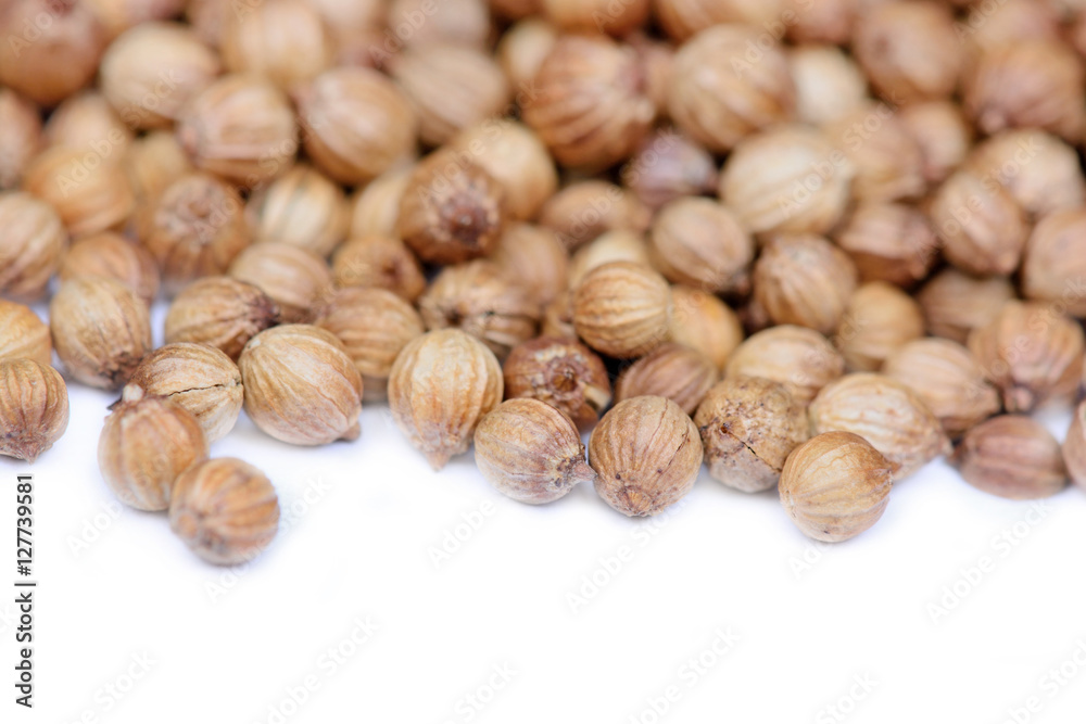 Coriander seeds on white background Coriander seeds on white background