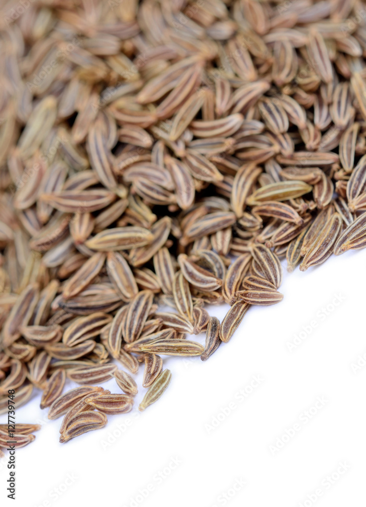 Caraway on white background
